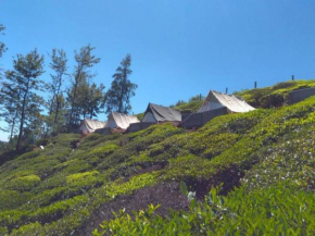 Swiss Tents in Ooty, Tn
